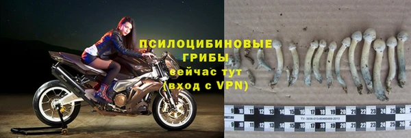 ГАЛЛЮЦИНОГЕННЫЕ ГРИБЫ Алзамай