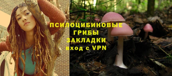 МДПВ Алексеевка