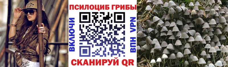 Галлюциногенные грибы Psilocybine cubensis  Спасск-Рязанский 